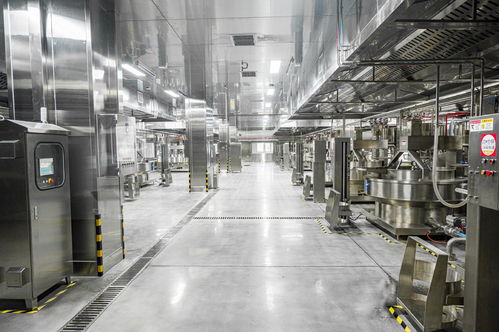 簡陽港華蜀都艙食品科技燃氣工程竣工通氣