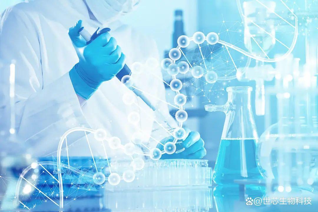 DeepSeek解讀2025年最值得關(guān)注的七大前沿科技 每一個都在改寫人類命運(yùn)