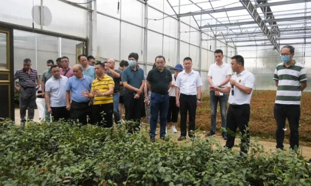廣東省林業(yè)產(chǎn)業(yè)協(xié)會(huì)赴玉屏考察油茶產(chǎn)業(yè)，助力產(chǎn)業(yè)升級(jí)與市場(chǎng)拓展