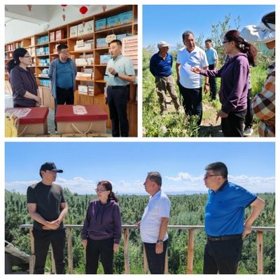 內(nèi)蒙古自治區(qū)林業(yè)科學(xué)研究院黨委書(shū)記王莉英一行赴新疆維吾爾自治區(qū)考察學(xué)習(xí)林業(yè)產(chǎn)品銷售