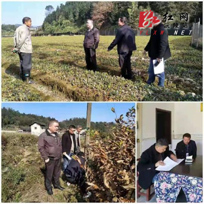 縣林業(yè)局開(kāi)展雙隨機(jī)檢查與誠(chéng)信宣傳，打造陽(yáng)光執(zhí)法生態(tài)環(huán)境