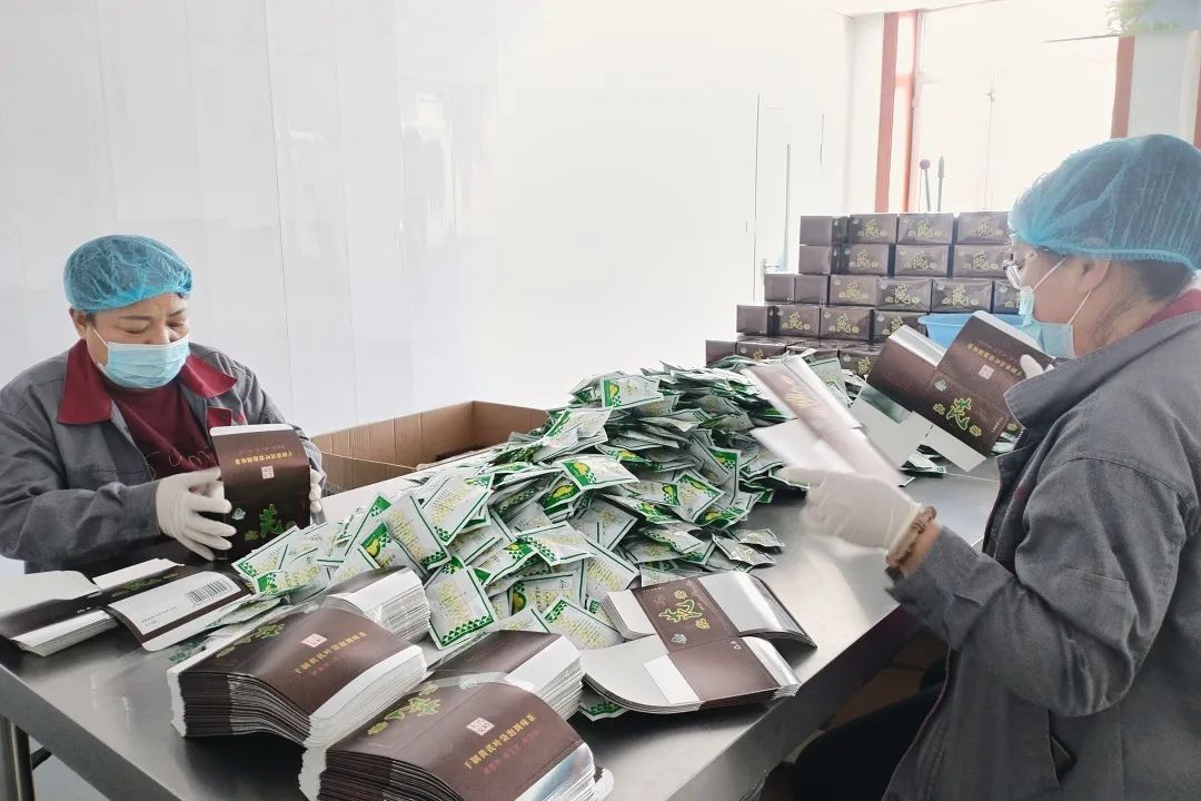 韓家園林業局 做實“兩山”轉化文章，繪就林下經濟發展新畫卷，助力電子產品銷售