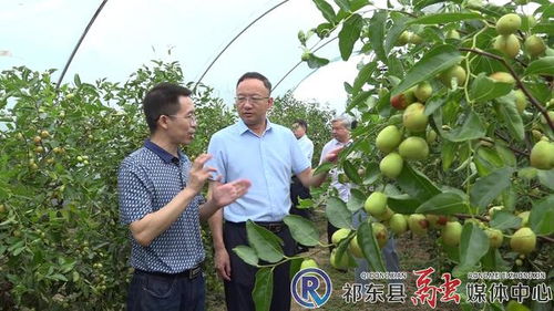 市林業局深入我縣開展林業工作調研 聚焦產業發展，助力林產品銷售升級