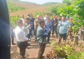 遼陽(yáng)市林草局舉辦大果榛子實(shí)用技術(shù)培訓(xùn)班 助力林業(yè)產(chǎn)品銷(xiāo)售與產(chǎn)業(yè)升級(jí)