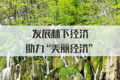 發(fā)展林下經(jīng)濟(jì)，拓展銷(xiāo)售渠道，讓‘美麗經(jīng)濟(jì)’更富生機(jī)