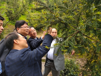 林下經濟與電子銷售 胡俠局長紹調研探索產業融合新路徑