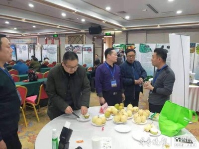 陽信鴨梨榮獲“全國綠色農業十佳地標品牌”稱號，綠色農業品牌價值再提升