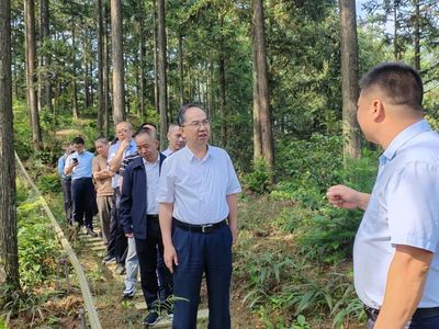 科技賦能，生態富民 福建省林業局領導赴福州、寧德調研林下經濟與電子產品銷售新模式